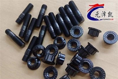 5600 teeb tsa titanium bolts tau ntim thiab xa mus rau cov neeg siv khoom Asm...